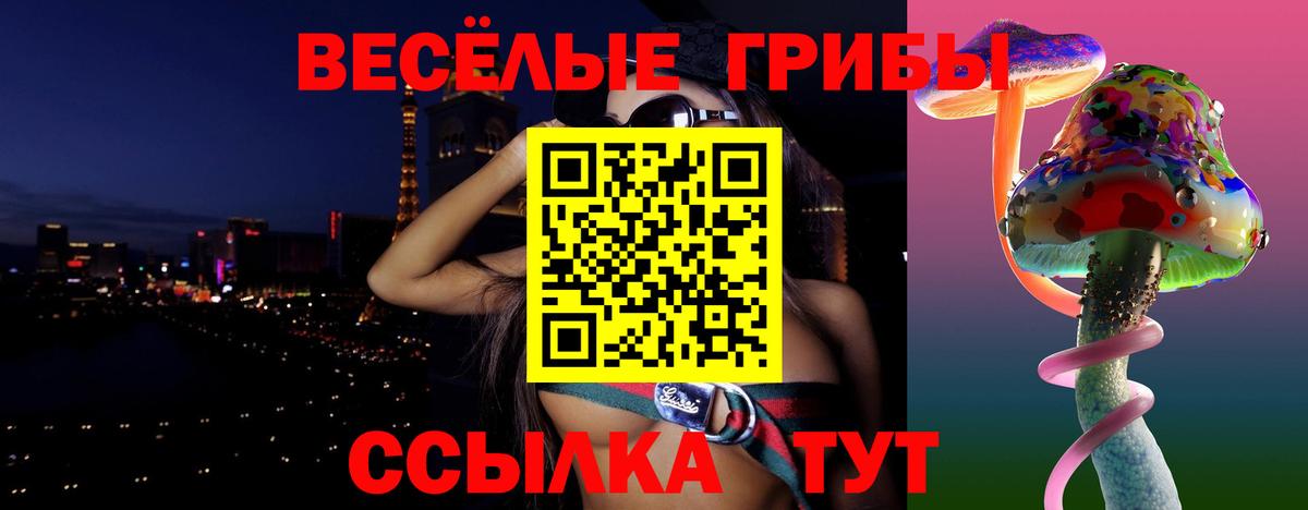 Галлюциногенные грибы Александров